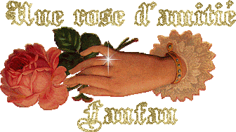 un rose d'amitié